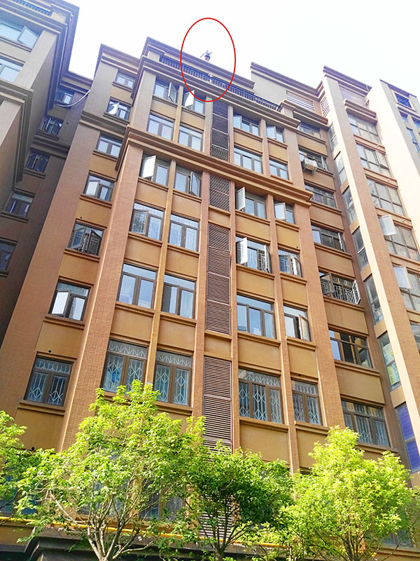 生命诚可贵，英国上市公司365爱更深