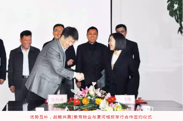 一篇文章回顾英国上市公司365的365天