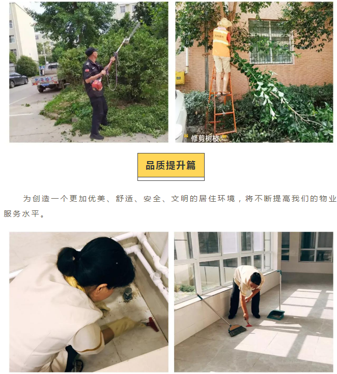 英国上市公司365惠达物业8月服务简报