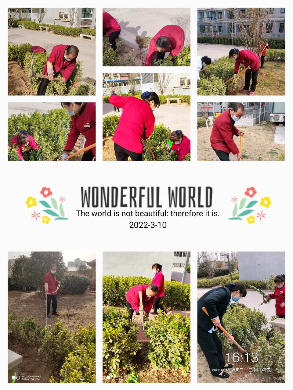 植树节丨植绿护绿，英国上市公司365在行动！