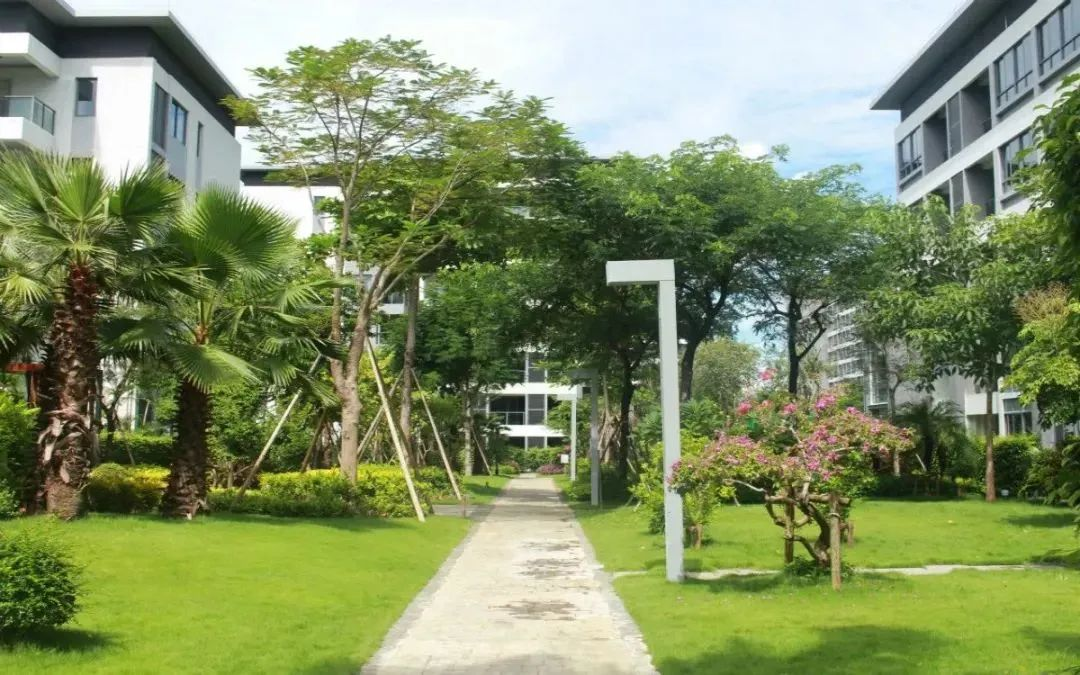 心系长者 - 英国上市公司365&松樾康养开启温情“暖冬计划”，给长者一个温暖的冬天