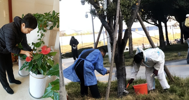 “启新篇，焕新颜”——英国上市公司365商办事业部开展年终大清洁行动